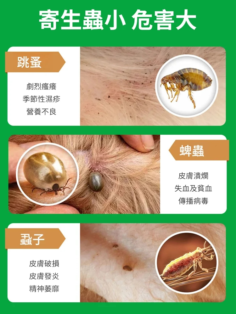 a97defe0334c75db689a9d247b6855c.png